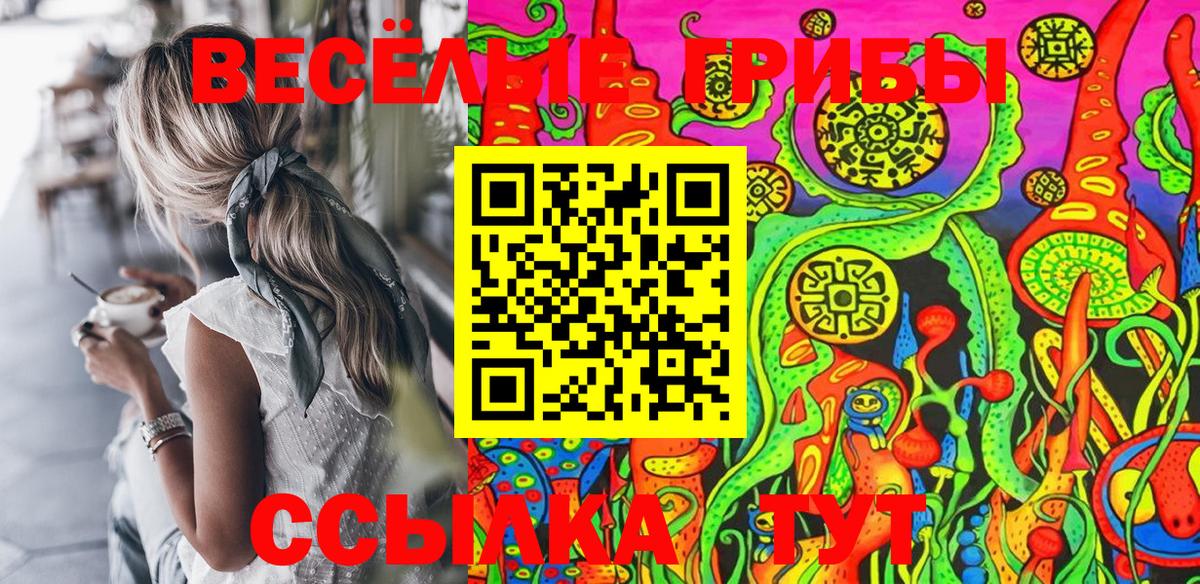 Псилоцибиновые грибы Psilocybine cubensis  Вход с VPN  Дубна 